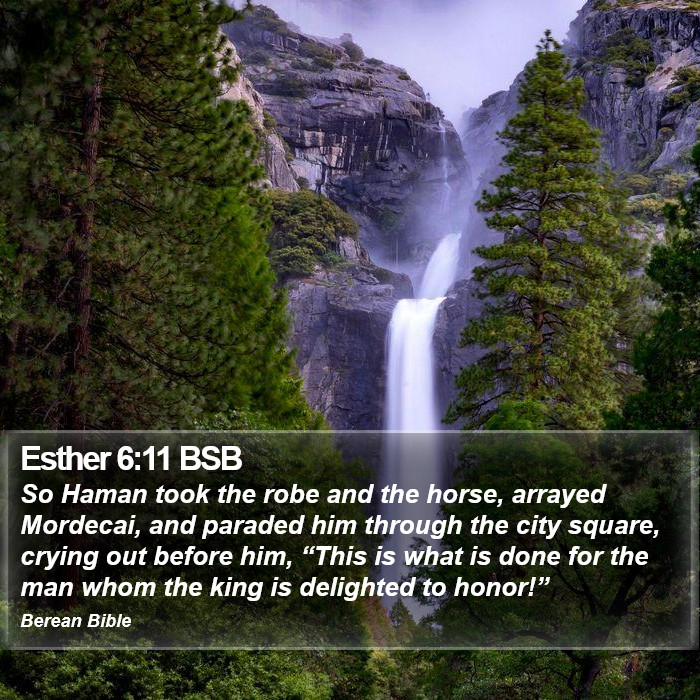 Esther 6:11 BSB Bible Study