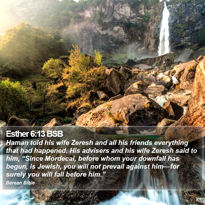 Esther 6:13 BSB Bible Study