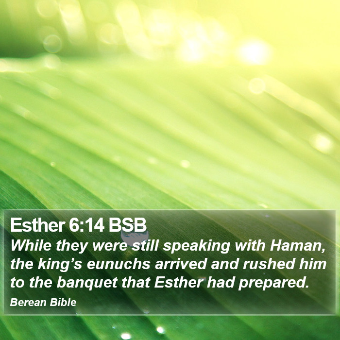 Esther 6:14 BSB Bible Study