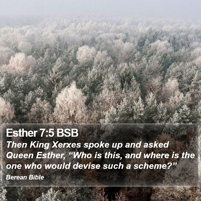 Esther 7:5 BSB Bible Study