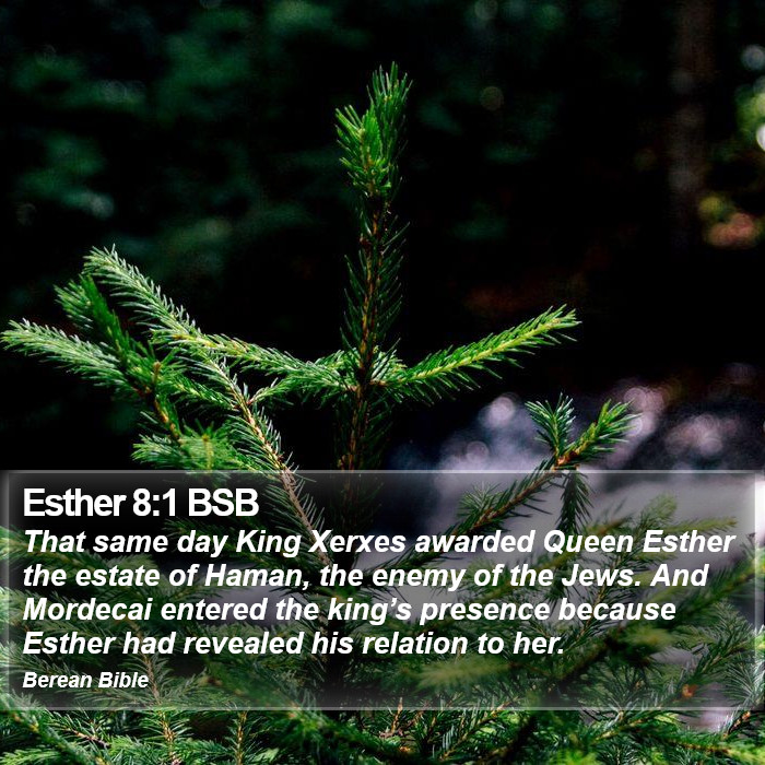 Esther 8:1 BSB Bible Study