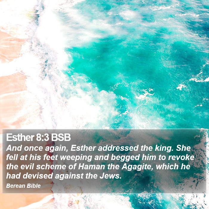 Esther 8:3 BSB Bible Study