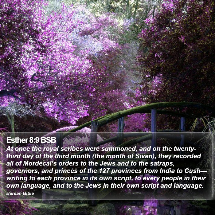 Esther 8:9 BSB Bible Study