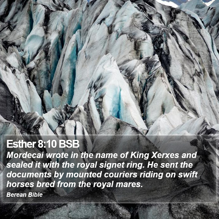 Esther 8:10 BSB Bible Study