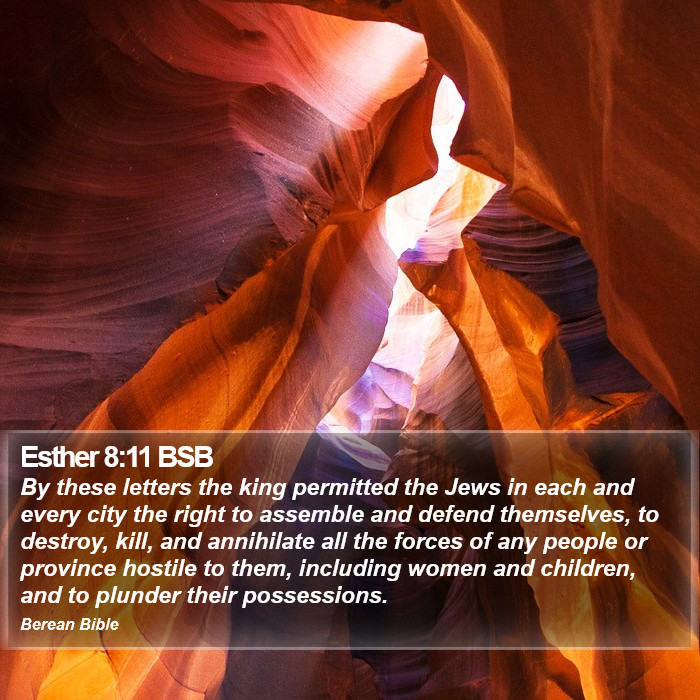 Esther 8:11 BSB Bible Study