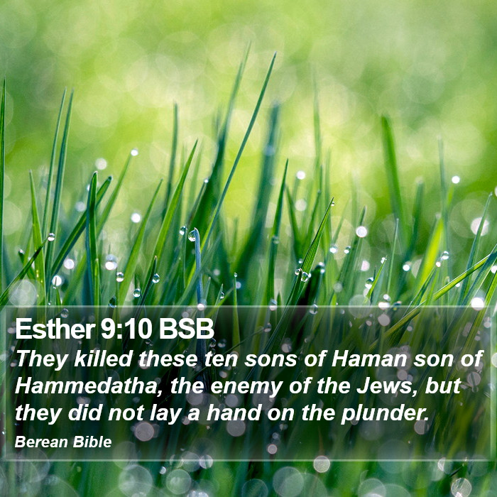 Esther 9:10 BSB Bible Study