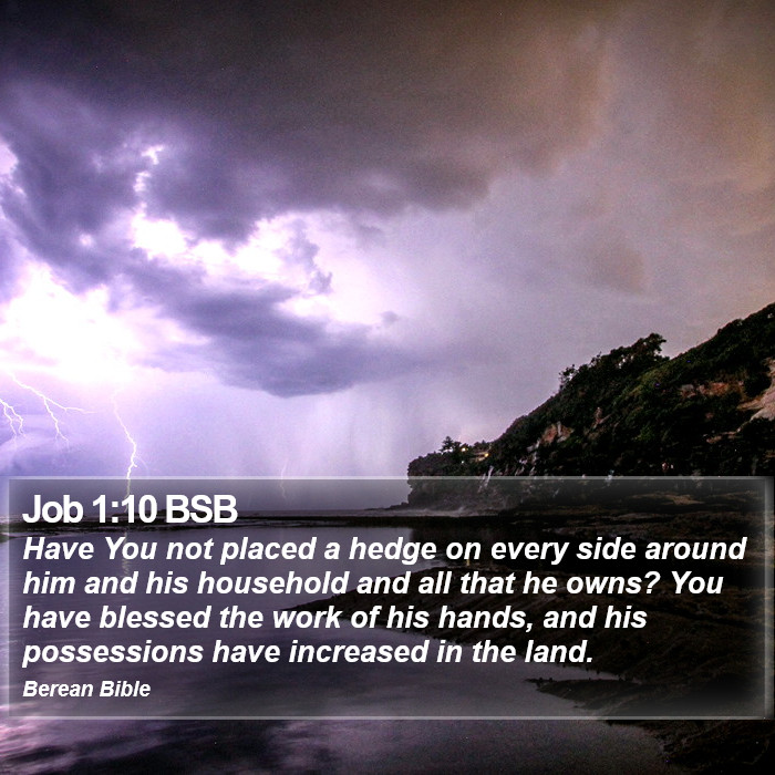 Job 1:10 BSB Bible Study