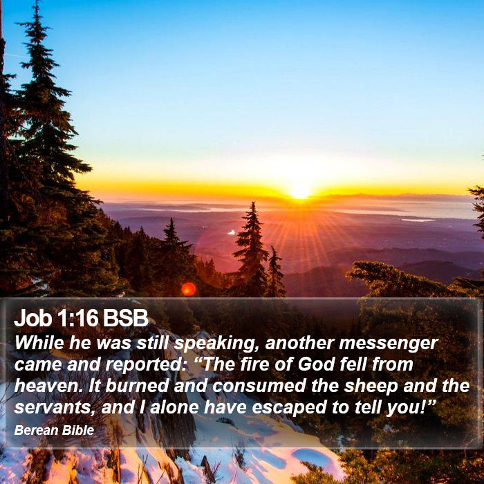 Job 1:16 BSB Bible Study