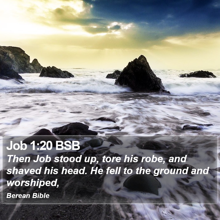 Job 1:20 BSB Bible Study