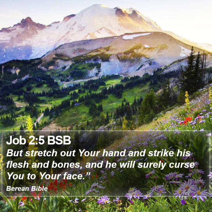 Job 2:5 BSB Bible Study