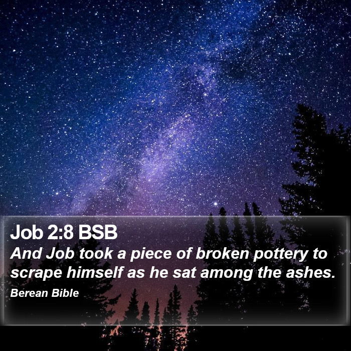 Job 2:8 BSB Bible Study