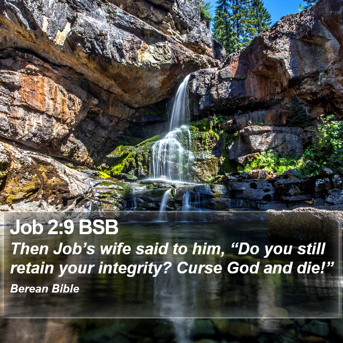 Job 2:9 BSB Bible Study