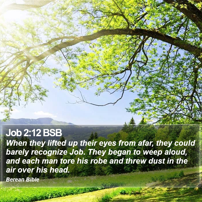 Job 2:12 BSB Bible Study