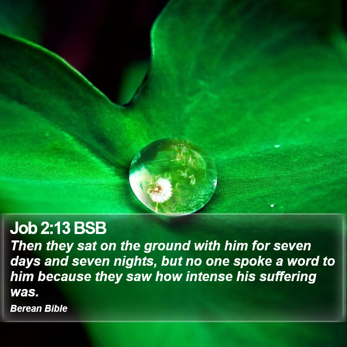 Job 2:13 BSB Bible Study