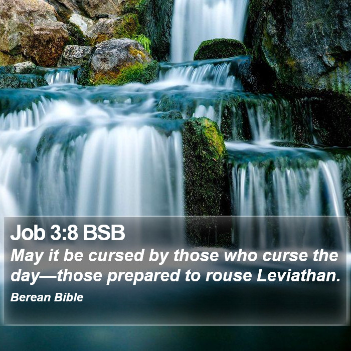 Job 3:8 BSB Bible Study