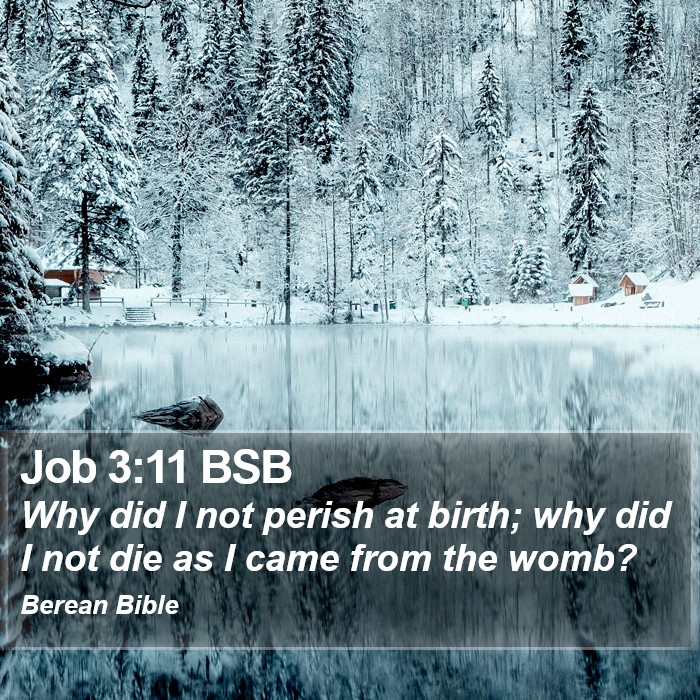 Job 3:11 BSB Bible Study