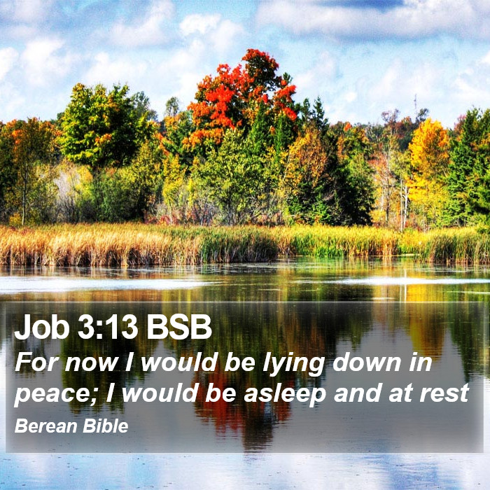 Job 3:13 BSB Bible Study