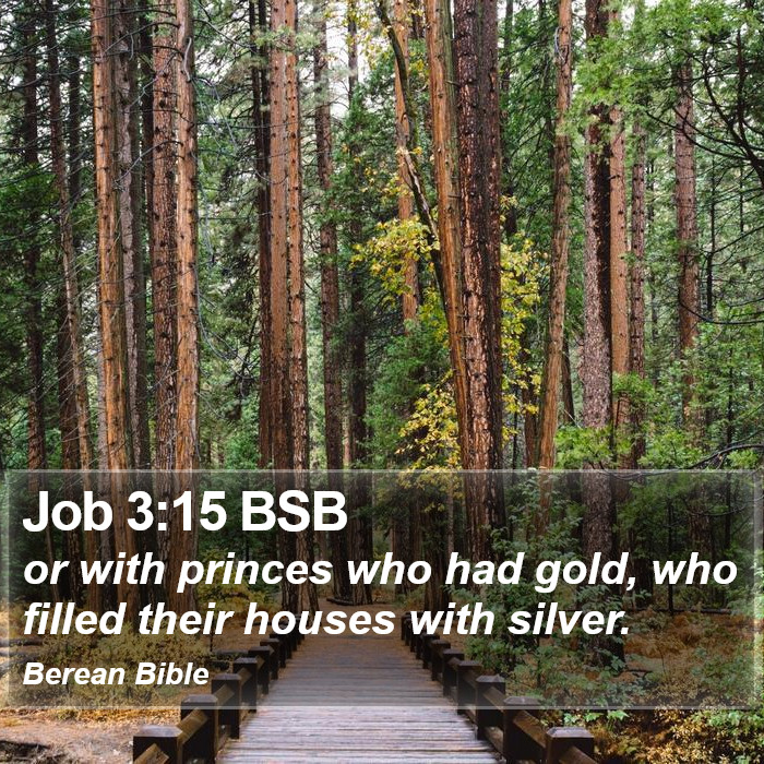 Job 3:15 BSB Bible Study