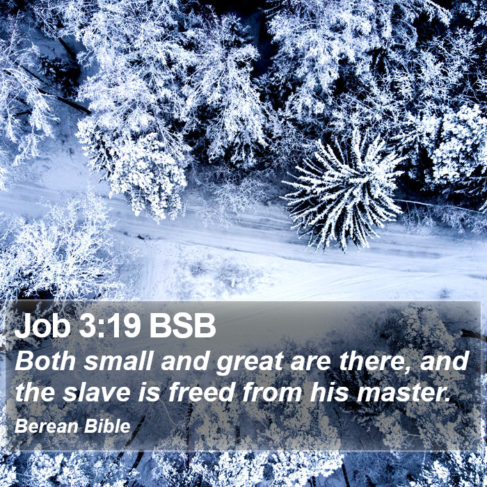 Job 3:19 BSB Bible Study