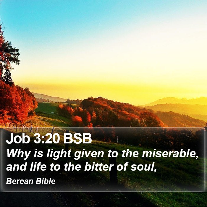 Job 3:20 BSB Bible Study