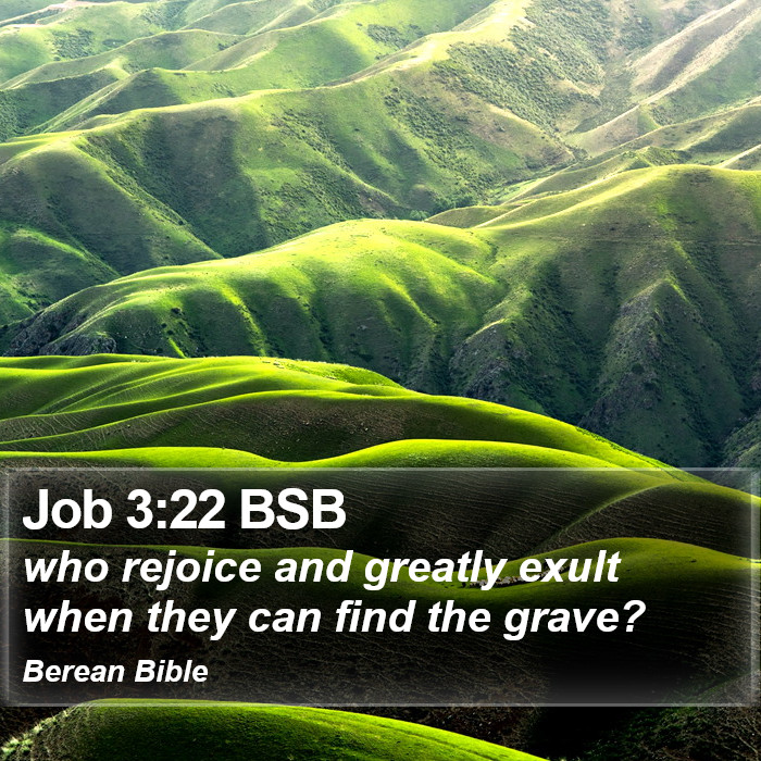 Job 3:22 BSB Bible Study