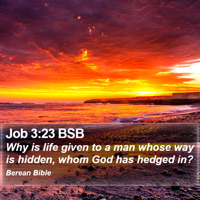 Job 3:23 BSB Bible Study