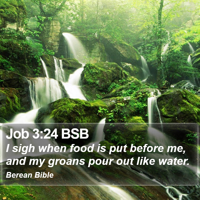 Job 3:24 BSB Bible Study