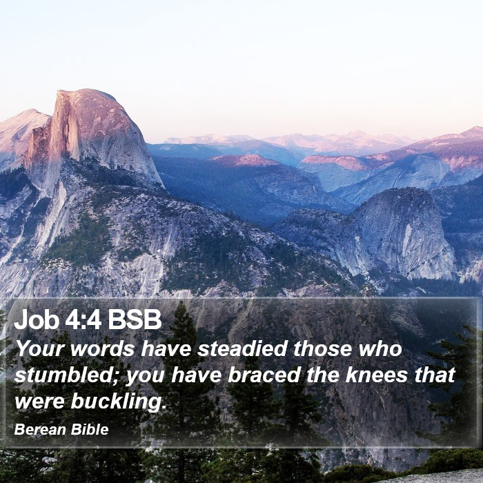 Job 4:4 BSB Bible Study