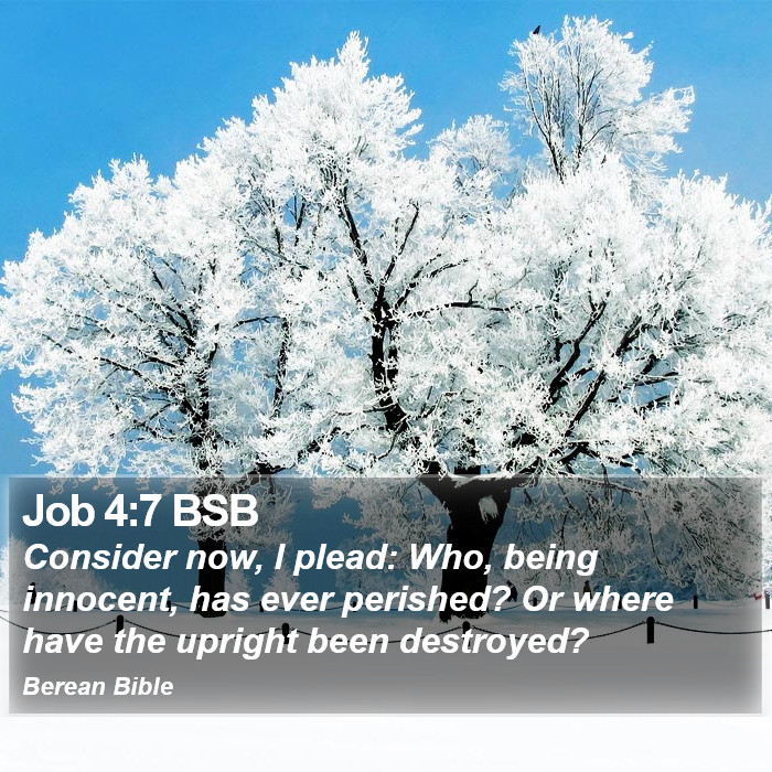 Job 4:7 BSB Bible Study