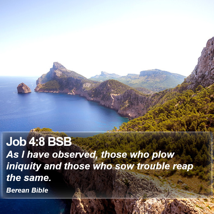 Job 4:8 BSB Bible Study