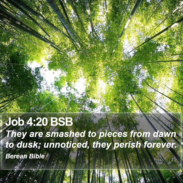 Job 4:20 BSB Bible Study