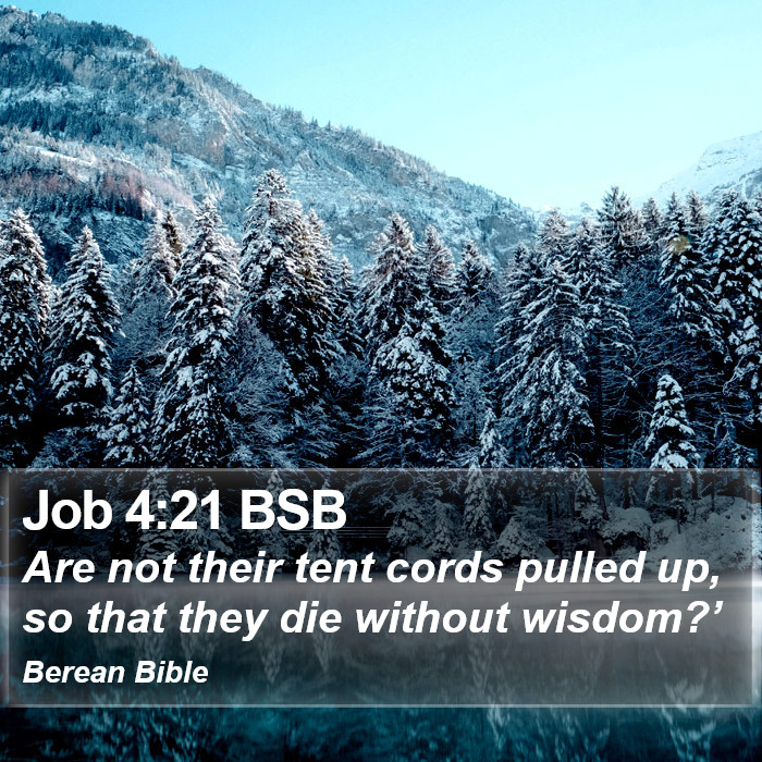 Job 4:21 BSB Bible Study