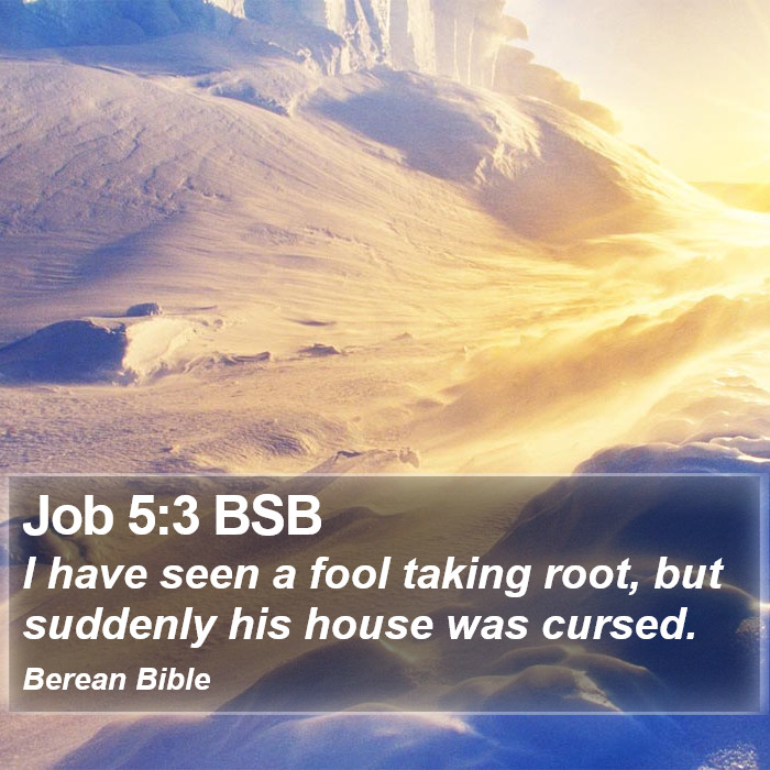 Job 5:3 BSB Bible Study