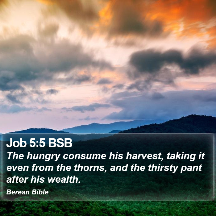 Job 5:5 BSB Bible Study