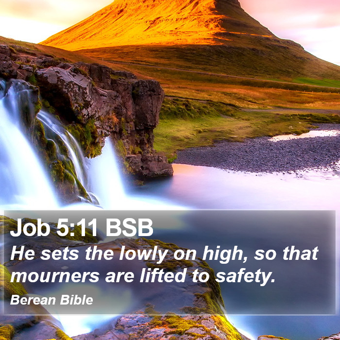 Job 5:11 BSB Bible Study