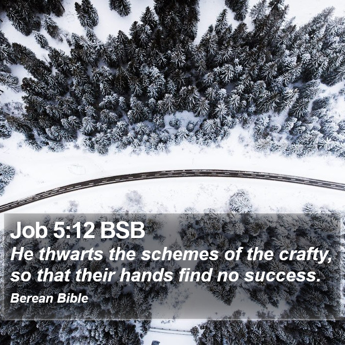 Job 5:12 BSB Bible Study