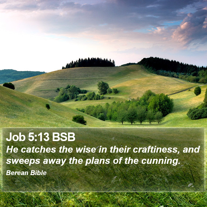 Job 5:13 BSB Bible Study