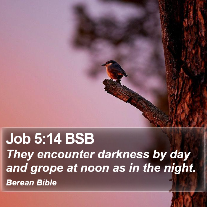 Job 5:14 BSB Bible Study