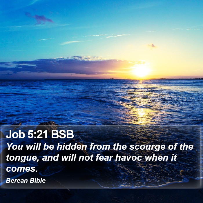 Job 5:21 BSB Bible Study