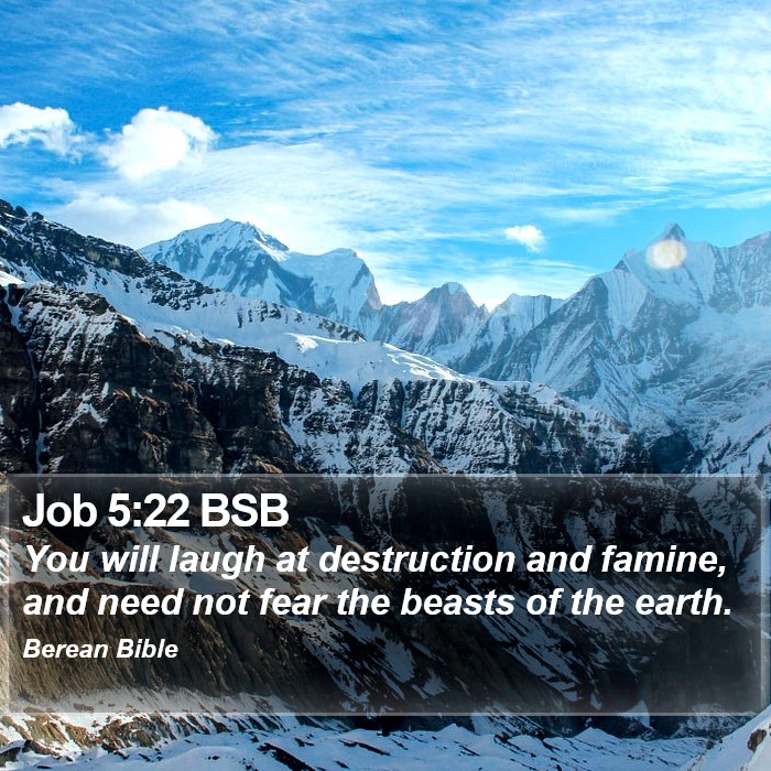 Job 5:22 BSB Bible Study