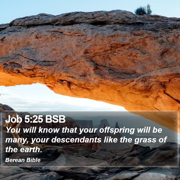 Job 5:25 BSB Bible Study