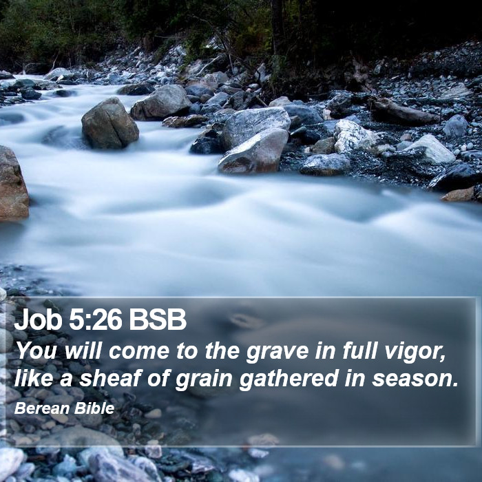 Job 5:26 BSB Bible Study