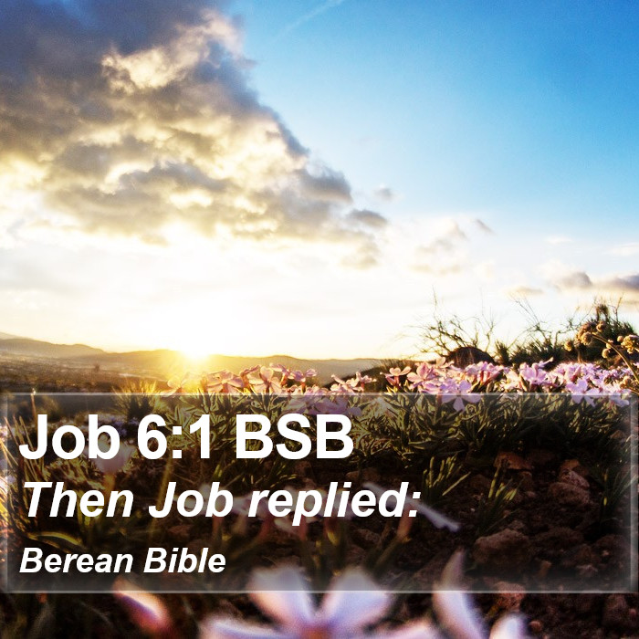 Job 6:1 BSB Bible Study