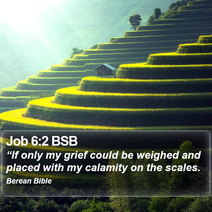 Job 6:2 BSB Bible Study