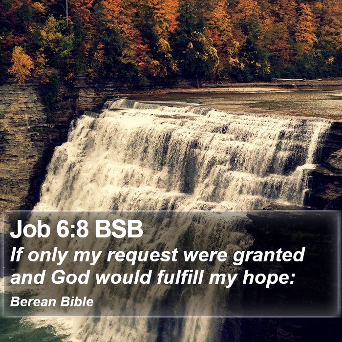 Job 6:8 BSB Bible Study