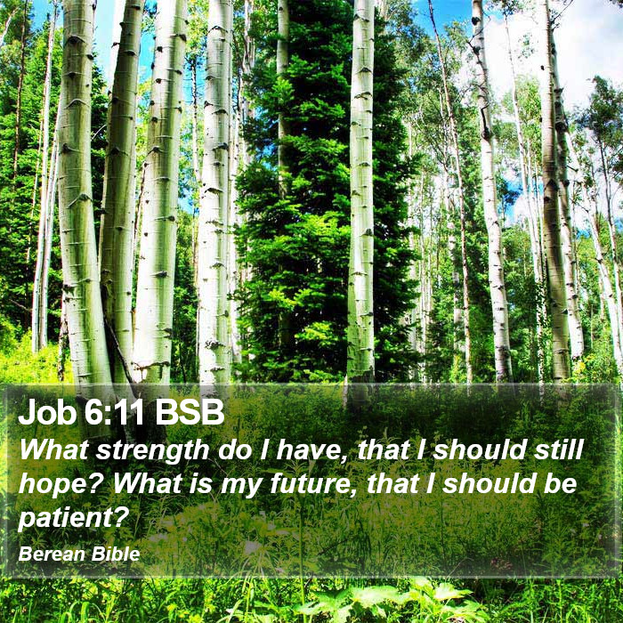 Job 6:11 BSB Bible Study