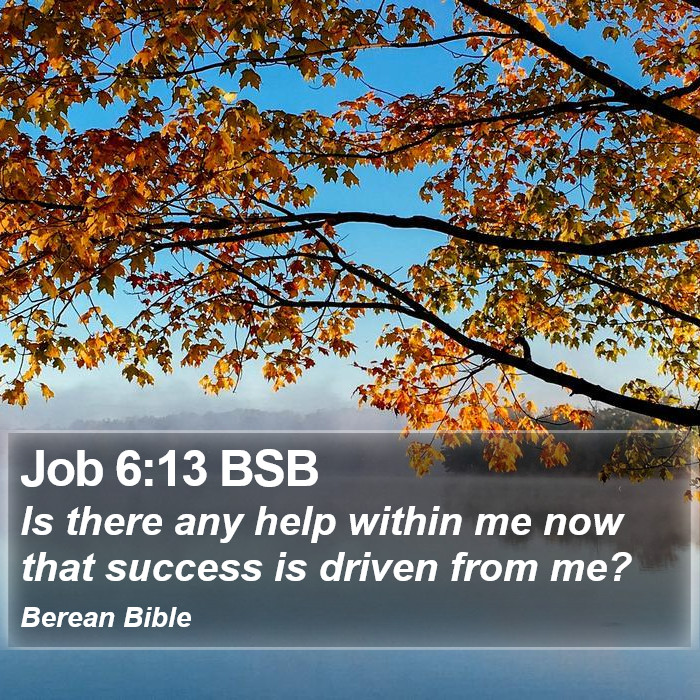 Job 6:13 BSB Bible Study