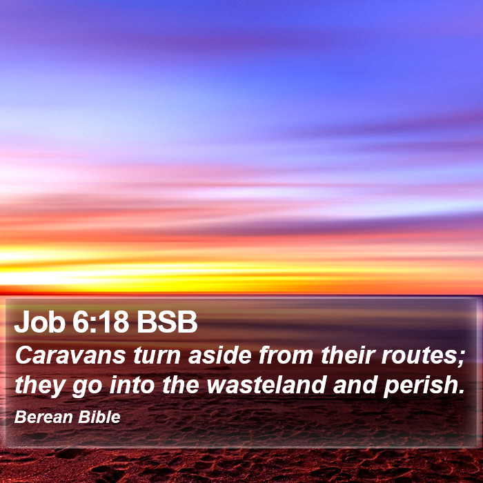 Job 6:18 BSB Bible Study