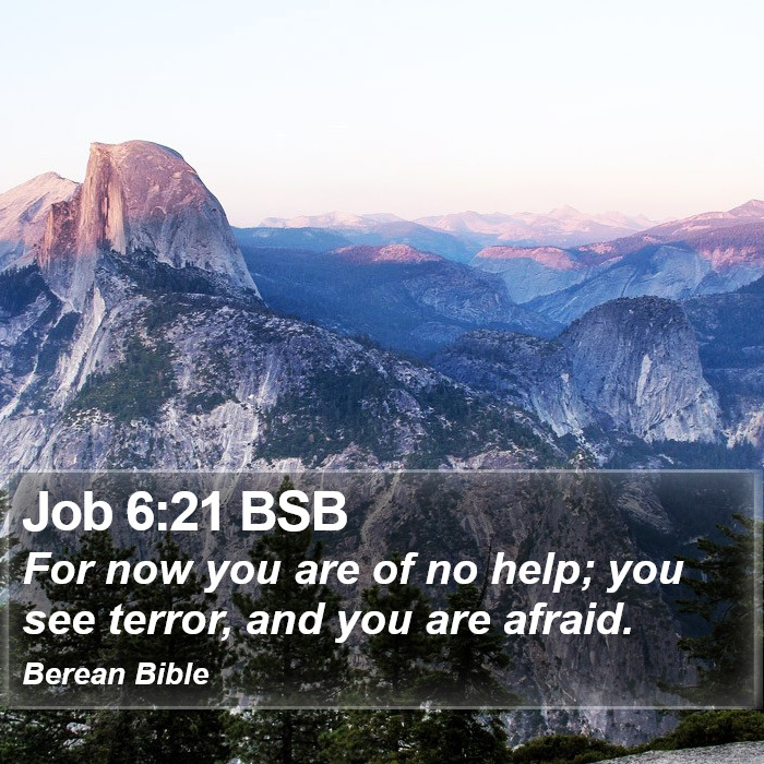 Job 6:21 BSB Bible Study