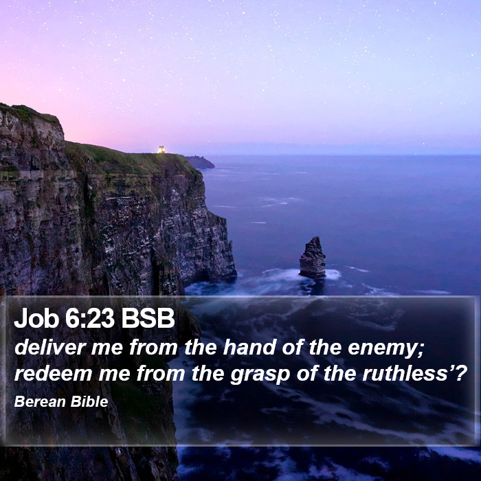 Job 6:23 BSB Bible Study